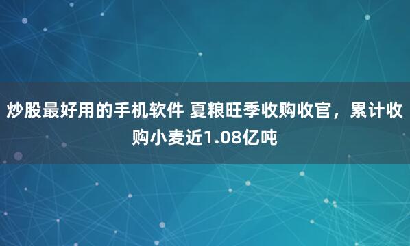 炒股最好用的手机软件 夏粮旺季收购收官，累计收购小麦近1.08亿吨