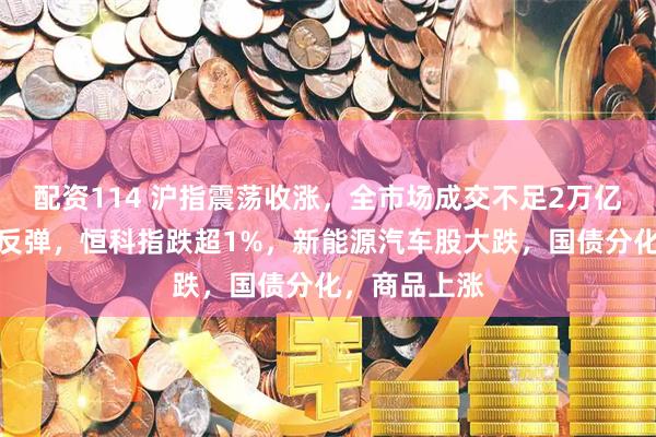 配资114 沪指震荡收涨，全市场成交不足2万亿，红利资产反弹，恒科指跌超1%，新能源汽车股大跌，国债分化，商品上涨