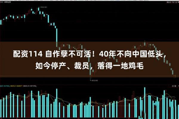 配资114 自作孽不可活！40年不向中国低头，如今停产、裁员，落得一地鸡毛