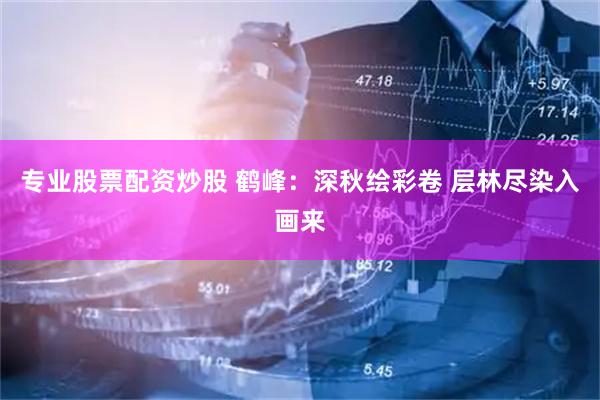 专业股票配资炒股 鹤峰：深秋绘彩卷 层林尽染入画来