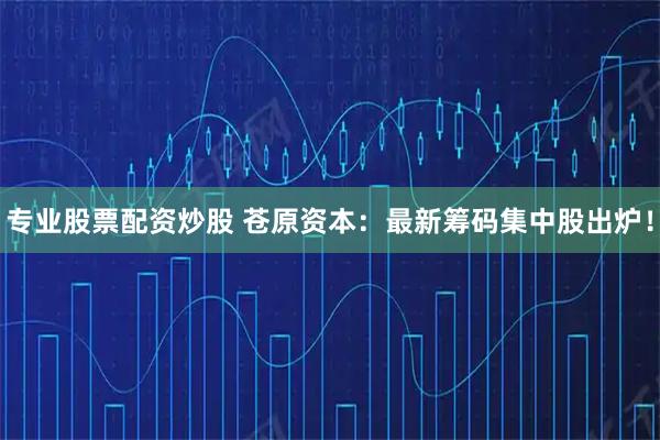 专业股票配资炒股 苍原资本：最新筹码集中股出炉！
